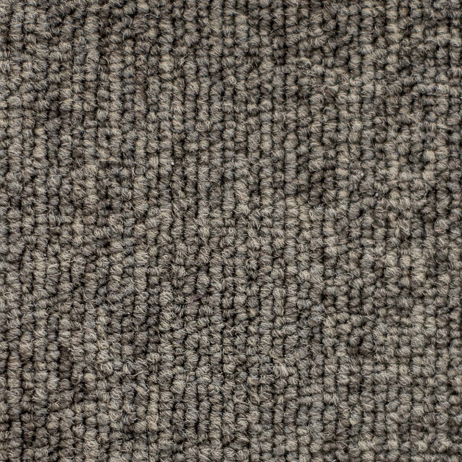 Ковролин "Зартекс" Daily 68 коричневый (4м) — купить в Нягани