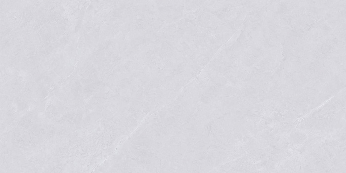 Керамогранит "Wan Sheng" Glazed (1200*600 мм) Серый D12620 — купить в Нягани