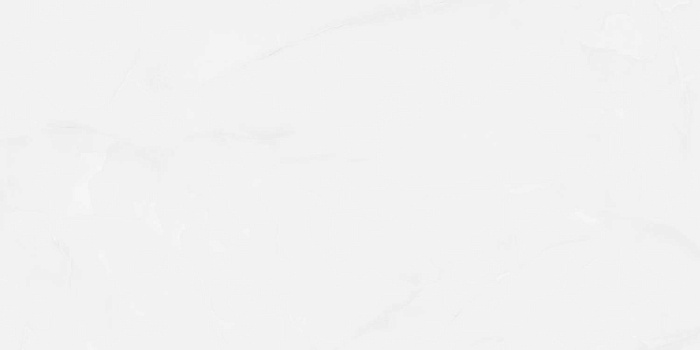 Керамогранит "Wan Sheng" Glazed (1200*600 мм) Серый D12617 — купить в Нягани