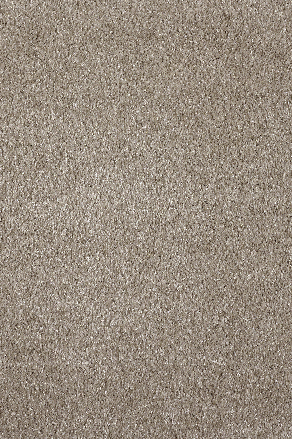 Ковровое покрытие "Bonkeel" Parana 34 (ширина 4м/5м) — купить в Нягани